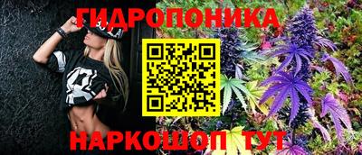 твердый Кудрово