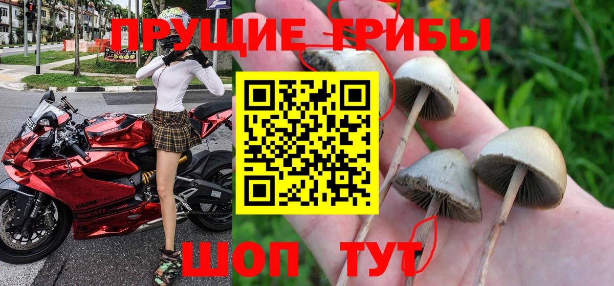 Галлюциногенные грибы мицелий  Вход с VPN  Ртищево 
